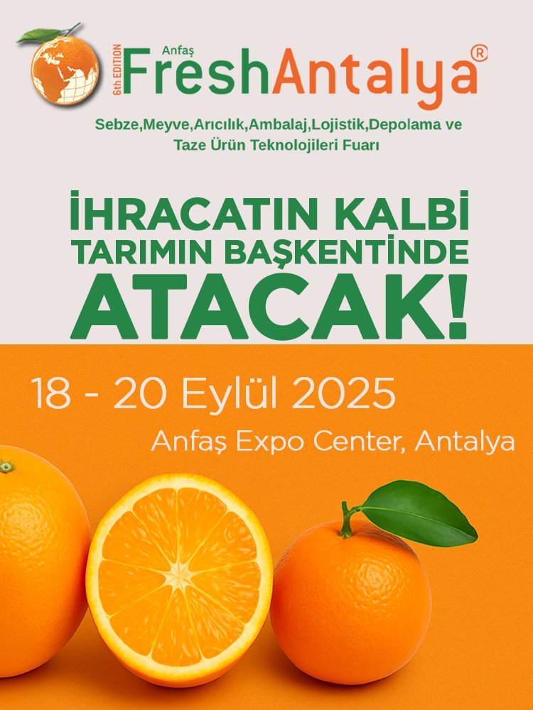 Anfaş Fresh Antalya